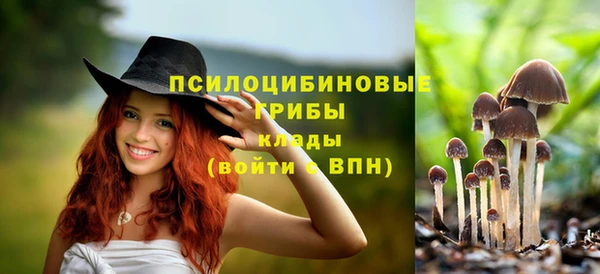 синтетический гашиш Алексеевка