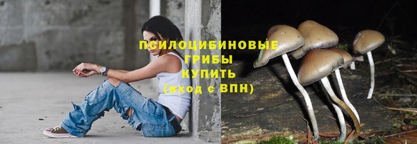 гидропоника Алзамай