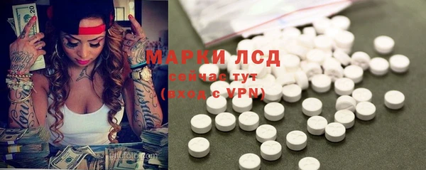 гидропоника Алзамай