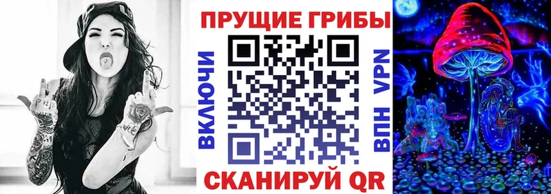 Псилоцибиновые грибы мицелий  маркетплейс формула  Петровск-Забайкальский  hydra ссылка 